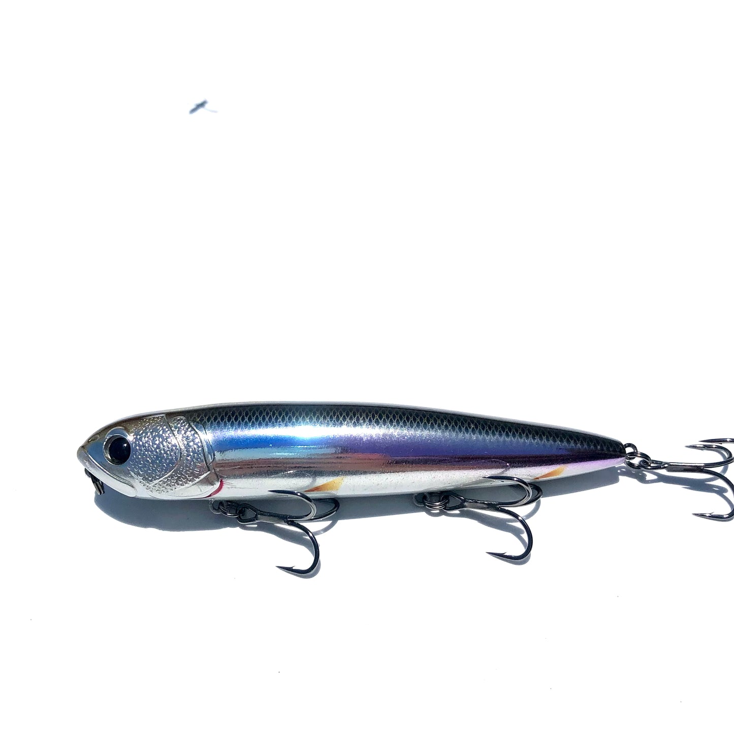 Big Swift™️ Topwater